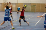 Handball SG Süd/Blumenau Archiv - Damen 1 müssen erste Niederlage hinnehmen