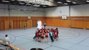 Handball SG Süd/Blumenau Archiv - Aufstieg durch Sieg in Ottobrunn perfekt