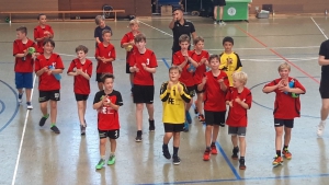 Handball SG Süd/Blumenau News - D Jugend Quali 2019 - da wollen wir wieder hin