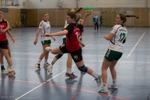 Handball SG Süd/Blumenau Archiv - Rückblick - Blumenauer Damen schlagen den Tabellenführer