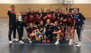Handball SG Süd/Blumenau News - Starke Teamleistung