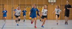 Handball SG Süd/Blumenau News - weibliche D Jugend überrascht mit guter Leistung in erster Quali Runde