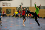 Handball SG Süd/Blumenau Archiv - SG Waschbären ringen Anzinger Löwen nieder