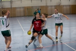 Handball SG Süd/Blumenau Archiv - Blumenauer Damen verlieren knapp gegen Vaterstetten