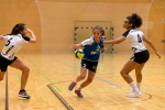 Handball SG Süd/Blumenau News - Starke Abwehrleistung führte nicht zum Sieg