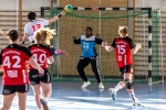 Handball SG Süd/Blumenau Archiv - Damen mit erster Niederlage in der Saison