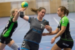 Handball SG Süd/Blumenau Archiv - Damen 1 luchsen Allach einen Punkt ab