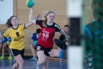 Handball SG Süd/Blumenau Archiv - Damen 2 gewinnen in Milbertshofen