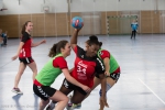 Handball SG Süd/Blumenau Archiv - Damen 3 gewinnt das Abendspiel