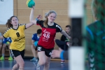 Handball SG Süd/Blumenau Archiv - Deutlicher Sieg der Damen 2 gegen Schwabing