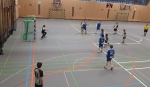 Handball SG Süd/Blumenau News - Guter Start nach Saisonunterbrechung