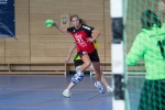 Handball SG Süd/Blumenau Archiv - Heimsieg zum Saisonstart