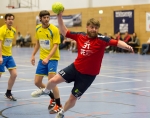 Handball SG Süd/Blumenau Archiv - Pflichtsieg gegen Schwabing - Samstag in Grafing