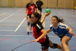 Handball SG Süd/Blumenau Archiv - Seig bei der Heimpremiere